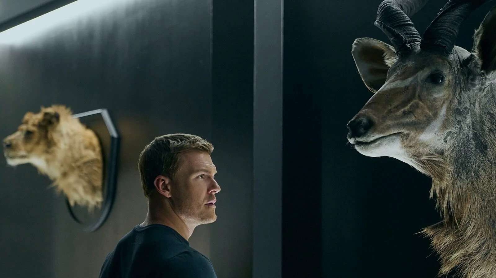 Alan Ritchson Reacher